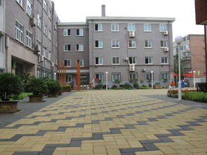 透水砖供应与技术开发 构建生态友好型城市铺装解决方案