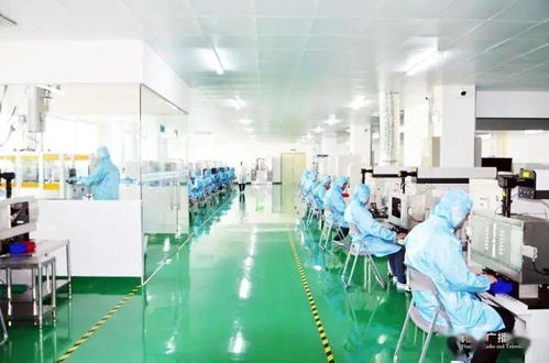 南宁 创新激发经济活力，众多“科技种子”开花结果