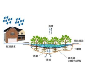 技术开发的全景透析 从概念到实践