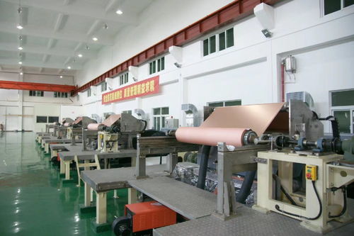 与税前行正青春 梅江税务凝聚青年力量，护航铜箔产业技术开发